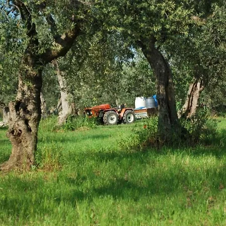 4 Apartman Tocco da Casauria